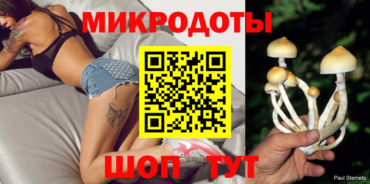Галлюциногенные грибы Cubensis  Вход с VPN  Галлюциногенные грибы ЛСД  Унеча 