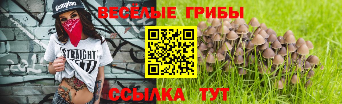 Псилоцибиновые грибы GOLDEN TEACHER Унеча